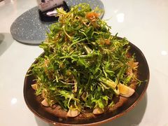 -海派美食·家宴海鲜青岛菜·石锅鲽鱼头(东方城店)