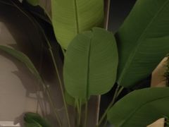 -新紫霞养生·影院足道·SPA(金山区店)