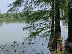 -东湖落雁景区
