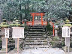 -奈良公园