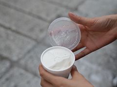 -洪馨椰子