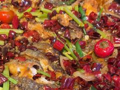 -老板恋上鱼(恒隆广场店)