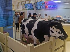-红星前进面包牛奶公司(君太店)