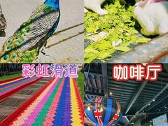 -观澜小洱海