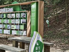 -上海佘山国家森林公园天马山园