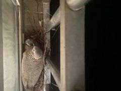 -观唐足道SPA养生会馆(南湖店)