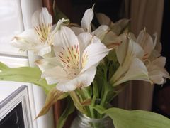 -美丽心情蛋糕(江苏路店)