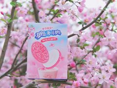 -堤角公园