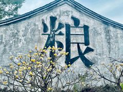 -鲁镇