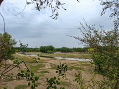 -北京麋鹿生态实验中心