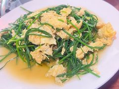 沙葱炒蛋-范记靖远羊羔肉(博物馆店)