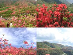 -大围山国家森林公园