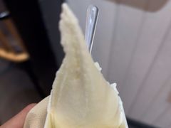 -野人先生现做冰淇淋(北京顺义祥云小镇店)