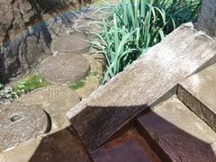 -雪山彩虹谷景区