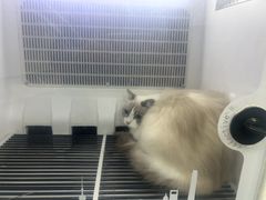 -艾贝尔宠物医院 ·中兽医·宠保定点(北门桥店)
