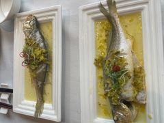 -皇朝尊会(龙之梦大酒店)