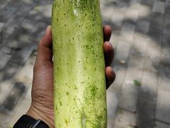 -云岫谷游猎自然风景区