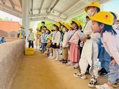 -杨梅红艺术教育(凤城教学中心)