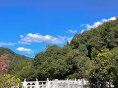 -燕子河大峡谷天坑仙境