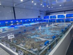 -小海丁