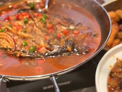 -辣可可·小炒黄牛肉(望京凯德MALL店)