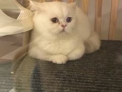 -海底捞火锅(九霄梦天地店)