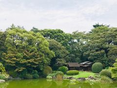 -东京国立博物馆