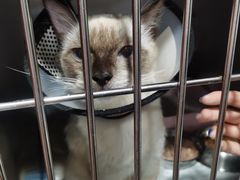 -荔康动物医院(康王北路店)