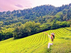 -敬亭山风景名胜区