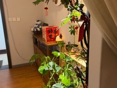 -沐森 •疗愈头疗馆(打浦桥店)