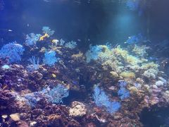 -海合安青岛极地海洋公园