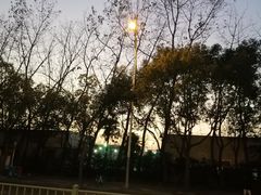 -茉酸奶(松江开元地中海店)