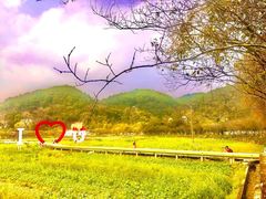 -红山村