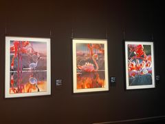 -罗红摄影艺术馆