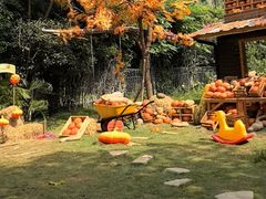 -HERRE·FARM 赫尔露营农场·团建聚会包场