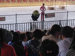 -东方熊牧场