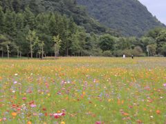 -贵阳市花溪国家城市湿地公园