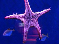 -沈阳海洋探索中心