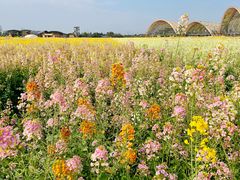 -中国天府农业博览园