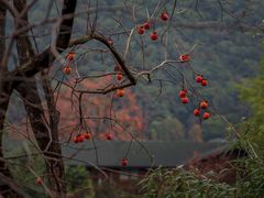 -丹山赤水风景名胜区