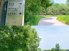 -翠湖国家城市湿地公园