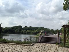 -梁鸿国家湿地公园