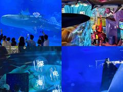 -烟台海昌鲸鲨海洋公园