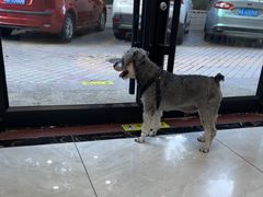 -安安宠医宠物医院·异宠·犬猫内科(岳阳分院)