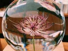 -二酉书店TOYOU BOOKS