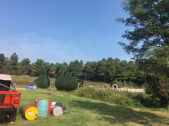 -大塘金香草谷
