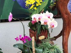 -兰陵国家农业公园