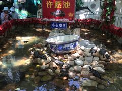 -西霞口神雕山野生动物世界