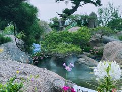 -罗红摄影艺术馆