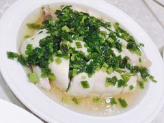 -凤城礼记鱼翅海鲜酒家(新马路总店)